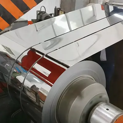 Stainless Steel Strips