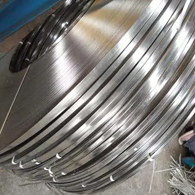 Stainless Steel Strips